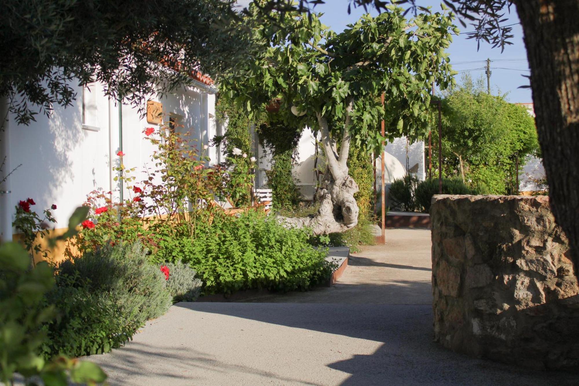 Sao Bras Do Regedouro - Turismo Na Aldeia Villa Évora Eksteriør billede