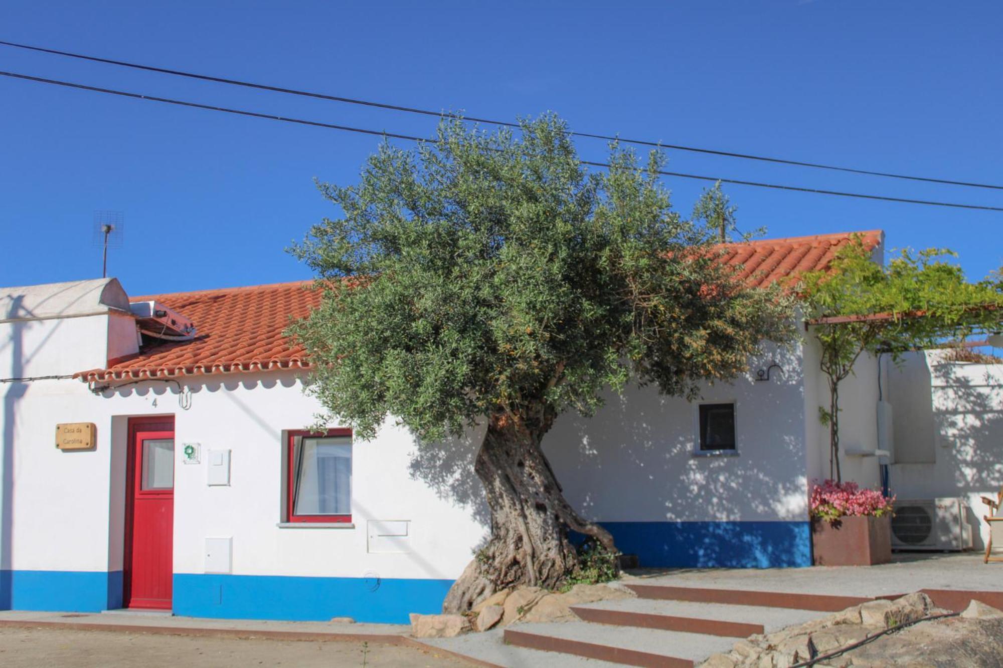 Sao Bras Do Regedouro - Turismo Na Aldeia Villa Évora Eksteriør billede